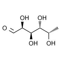 L-岩藻糖 HPLC≥98%