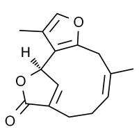 异乌药内酯,分析标准品,HPLC≥98%