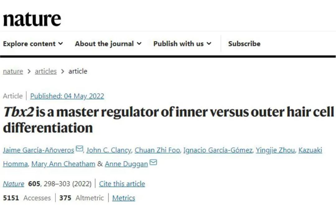 【客户文章-anc80血清型】Nature｜Tbx2是耳蜗毛细胞分化为内毛细胞的命运决策因子