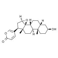 酯蟾毒配基 HPLC≥98%