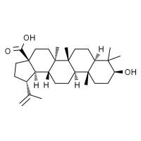 白桦脂酸,分析标准品,HPLC≥98%