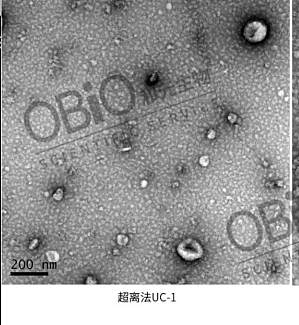 丁香实验推荐阅读