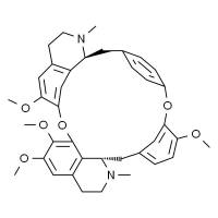 粉防己碱 ,分析标准品,≥98%(HPLC),用于药物分析