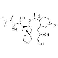 芸苔素内酯,分析标准品,HPLC≥95%