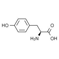 L-酪氨酸，分析标准品,HPLC≥99%