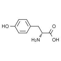 D-酪氨酸，98%