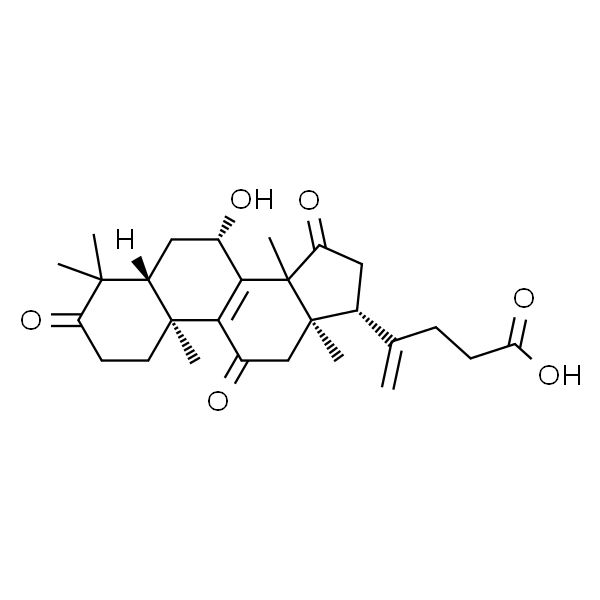 20(21)-脱氢赤芝酸A HPLC≥98%