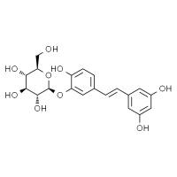 白皮杉醇-3 -O-葡萄糖苷 HPLC≥98%