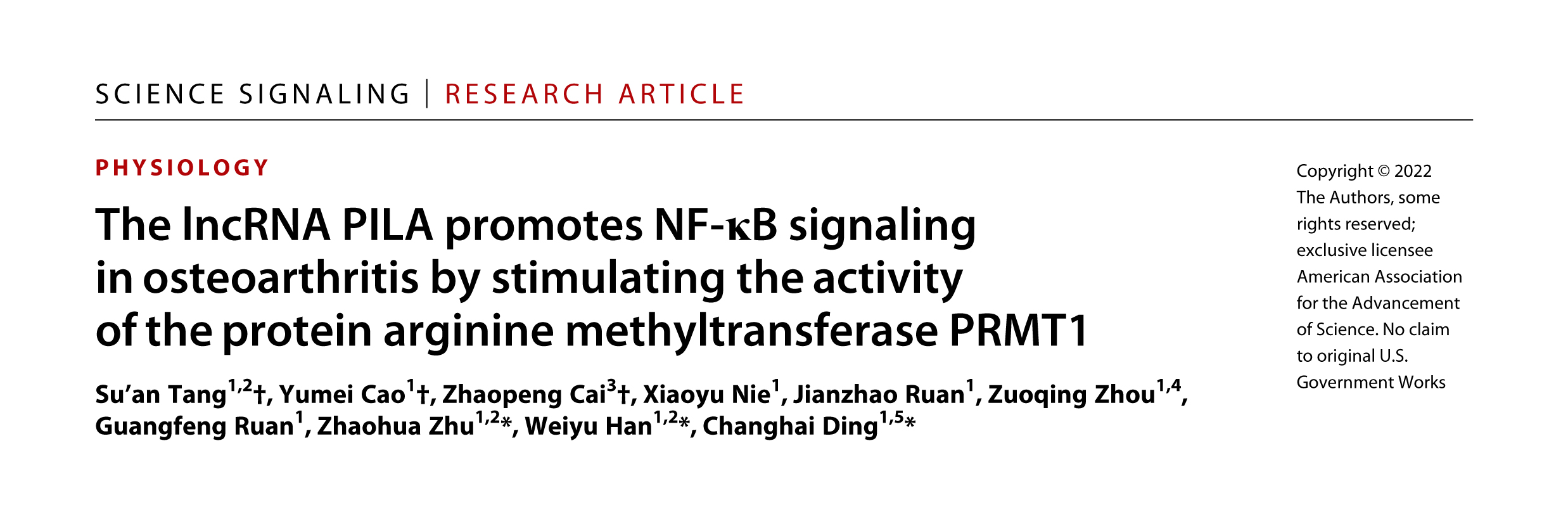 Science子刊丨lncRNA PILA促进OA中NF-κB信号通路活化的分子机制