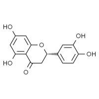 圣草酚 HPLC≥98%