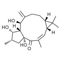 千金子二萜醇 ,分析标准品，>98%