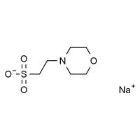 吗啉乙磺酸钠盐 99%