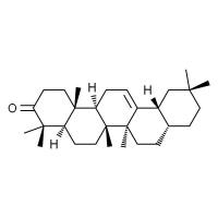 28-去甲基-β-香树脂酮 HPLC≥98%