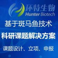 科研实验/斑马鱼课题/SCI医学论文发表/科研课题一站式解决方案
