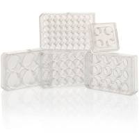 Thermo Scientific™ Nunc™ 多孔细胞培养板，经细胞培养处理