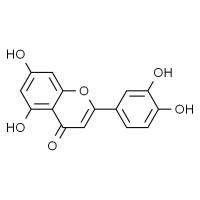 木犀草素，分析标准品