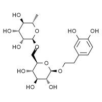 连翘酯苷E HPLC≥98%