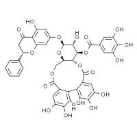 Pinocembrin 7-O-(3’’-galloyl-4’’,6’’-(S)-hexahydro