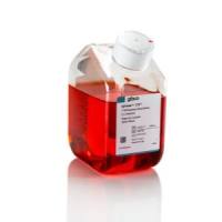 Gibco™ CTS™ OpTmizer™ T 细胞扩增 SFM 培养基,瓶装