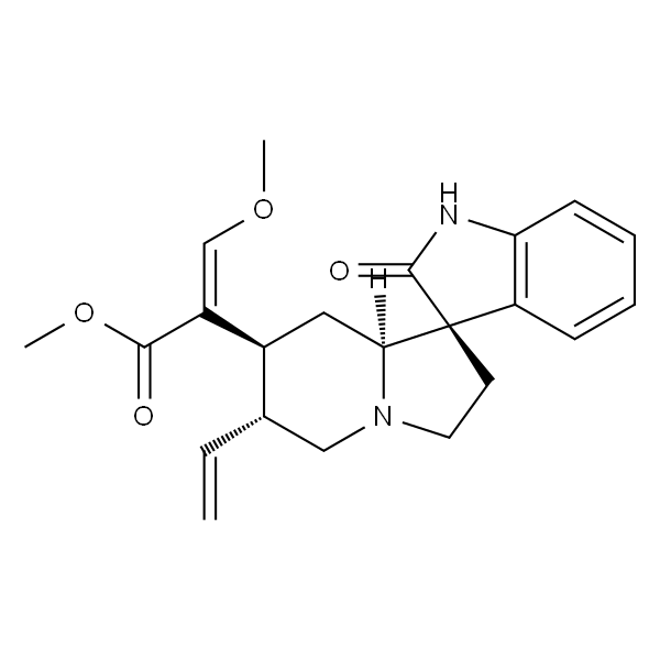 去氢钩藤碱 HPLC≥98%