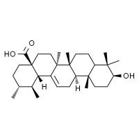 熊果酸，分析标准品,HPLC≥98%