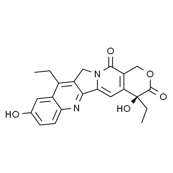 7-乙基-10羟基喜树碱，分析标准品,HPLC≥98%