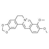小檗碱,分析标准品,HPLC≥98%