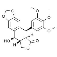 鬼臼毒素 分析标准品,HPLC≥98%