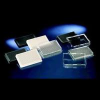 Thermo Scientific™ Nunc™ 384 孔、未经处理、平底、光学聚合物底微孔板