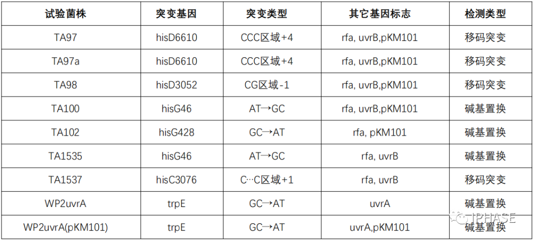 菌株——Ames试验的“剖析者”