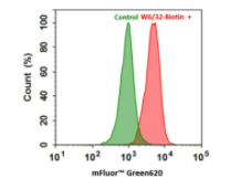 独特的荧光染料——mFluor Green 620 琥珀酰亚胺酯 独特的荧光染料——mFluor Green 620 琥珀酰亚胺酯