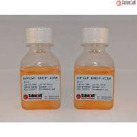 Sciencell 5891 bFGF 刺激的小鼠胚胎成纤维细胞条件培养基 现货特价