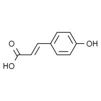 对香豆酸,分析标准品,HPLC≥98%