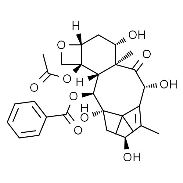 10-脱乙酰基巴卡亭Ⅲ HPLC≥98%