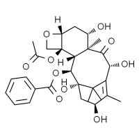 10-脱乙酰基巴卡亭Ⅲ HPLC≥98%