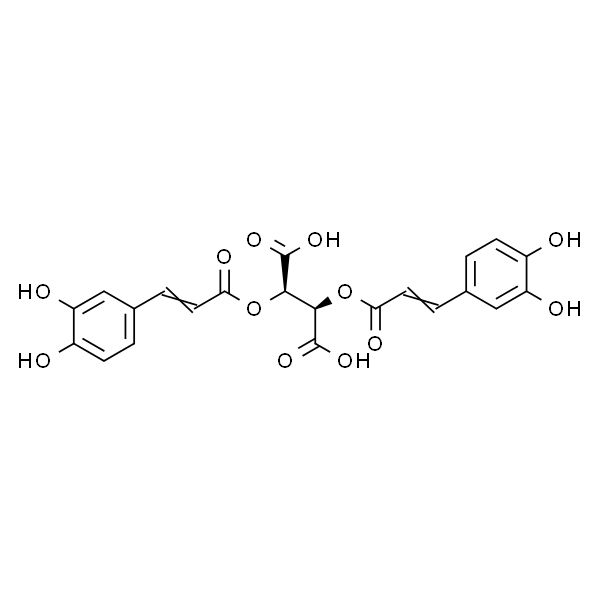 菊苣酸,化学对照品(20mg)