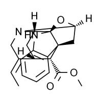 鸭脚树叶碱 HPLC≥98%