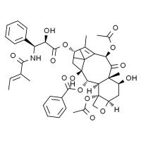 三尖杉宁碱 HPLC≥98%