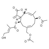 野马追内酯 B HPLC≥98%