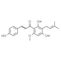 黄腐醇 HPLC≥98%