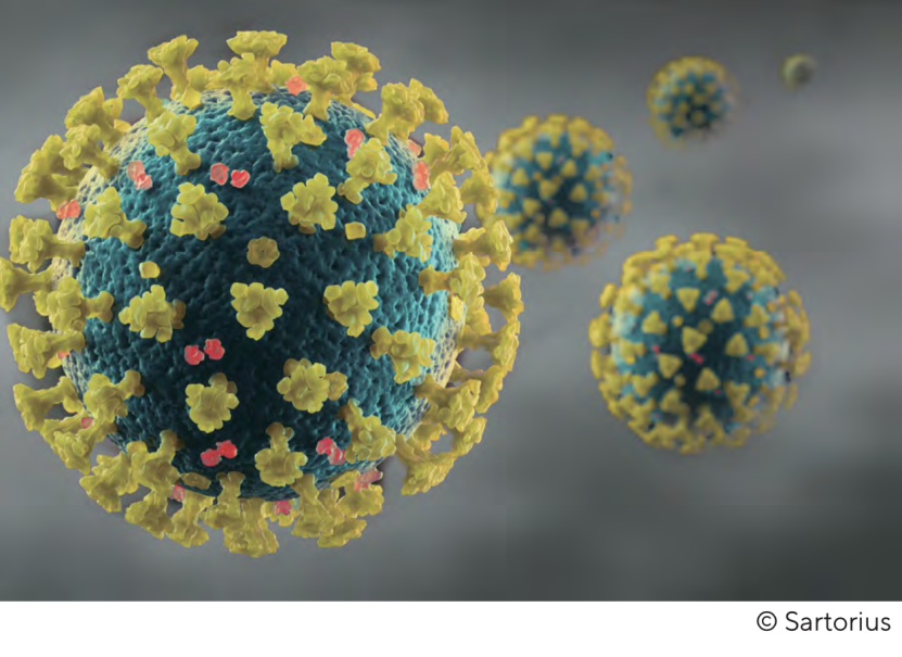 案例汇总 | 疫苗开发之生物分析解决方案