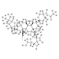 异黄芪皂苷II HPLC≥98%