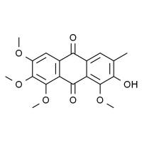 黄决明素 HPLC≥98%
