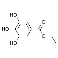 没食子酸乙酯 HPLC≥97%