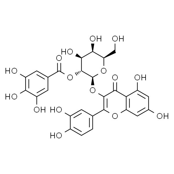 2"-O-没食子酰基金丝桃苷（分析标准品）