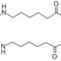 醋氨己酸锌,化学对照品(100mg)