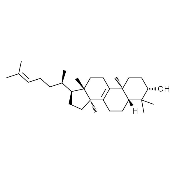 大戟二烯醇 HPLC≥98%