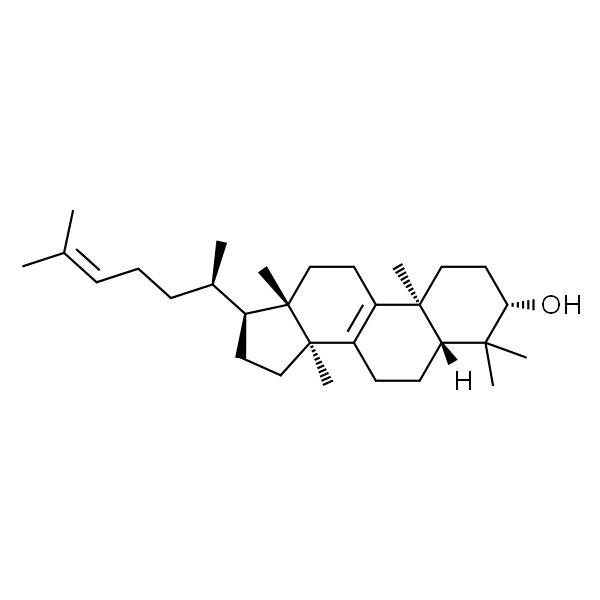 大戟二烯醇 HPLC≥98%