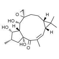 环氧续随子醇 HPLC≥98%