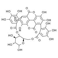 石榴皮鞣素 HPLC≥98%
